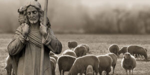 i am the good shepherd